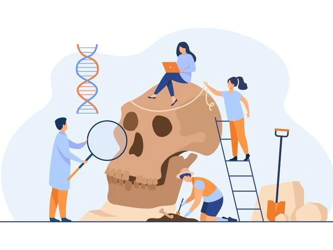 Benefits Learning Antrophology