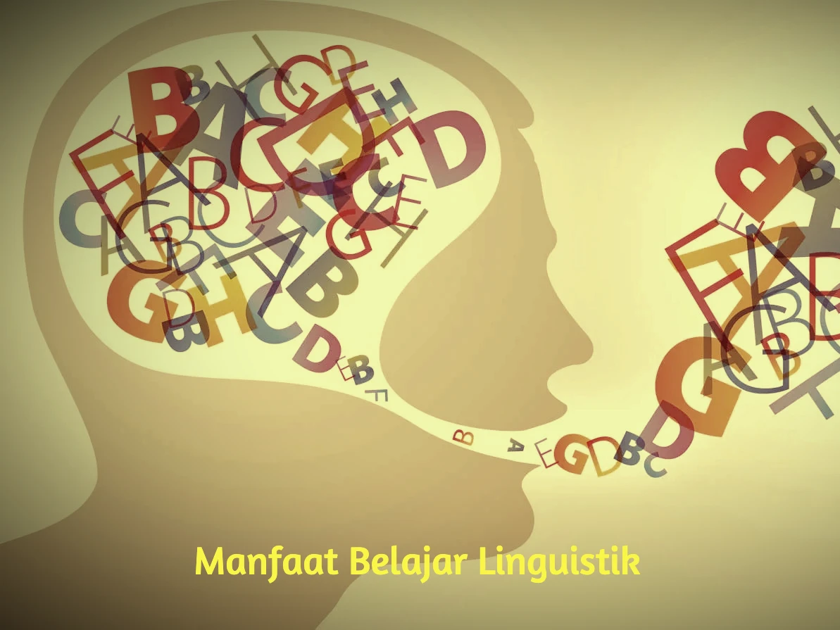 the benefits of studying linguistics