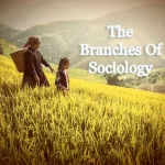 The Branches Og Sociology