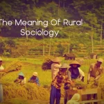 The Meaning of Rural Sociology