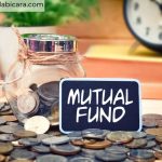 Mutual Fund