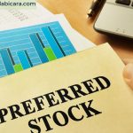 Preferred Stock