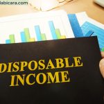 Disposable Income