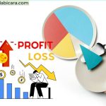 Profit and Loss Report