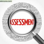 Assessment