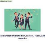 Remuneration