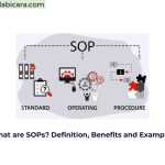 What are SOPs? Definition, Benefits and Examples