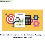 Financial Management: Definition, Principles, Functions and Tips