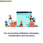 Tax Accounting: Definition, Principles, Classification and Functions