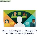 What is Human Experience Management? Definition, Components, Benefits