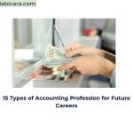 15 Types of Accounting Profession for Future Careers