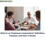 What is an Employee Cooperative? Definition, Purpose, and How it Works