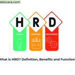 What is HRD? Definition, Benefits and Functions