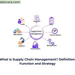 What is Supply Chain Management? Definition, Function and Strategy