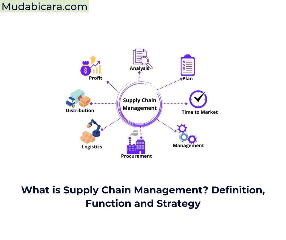 What Is Supply Chain Management Definition Function And Strategy