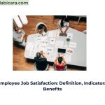 Employee Job Satisfaction: Definition, Indicators, Benefits