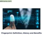 Fingerprint: Definition, History and Benefits