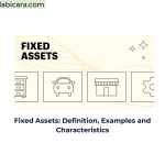 Fixed Assets: Definition, Examples and Characteristics