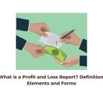 What is a Profit and Loss Report? Definition, Elements and Forms