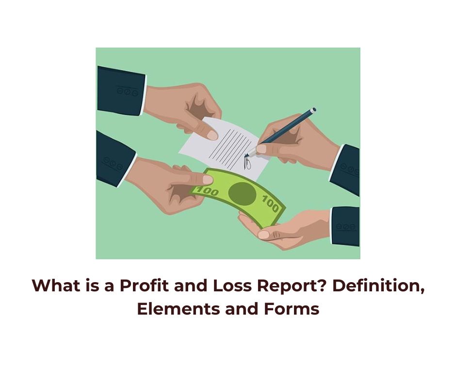 what-is-a-profit-and-loss-report-definition-elements-and-forms