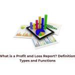 What is a Profit and Loss Report? Definition, Types and Functions