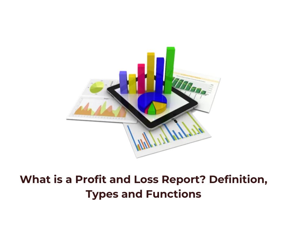What is a Profit and Loss Report? Definition, Types and Functions