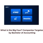 What is the Big Four? Companies Targeted by Bachelor of Accounting