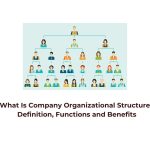 What Is Company Organizational Structure? Definition, Functions and Benefits