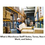 What is Warehouse Staff? Duties, Terms, How to Work, and Salary