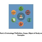 What is Criminology? Definition, Scope, Object of Study and Examples