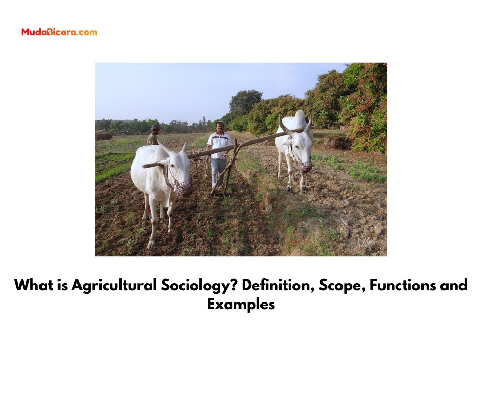 What is Agricultural Sociology? Definition, Scope, Functions and Examples