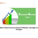 What is Islamic Economic System? Definition, Strengths and Principles