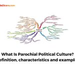 What Is Parochial Political Culture? Definition, characteristics and examples