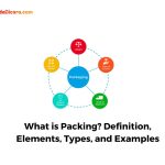 What is Packing? Definition, Elements, Types, and Examples