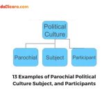 13 Examples of Parochial Political Culture Subject, and Participants