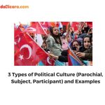 3 Types of Political Culture (Parochial, Subject, Participant) and Examples