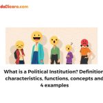 What is a Political Institution? Definition, characteristics, functions, concepts and 4 examples