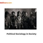 Political Sociology in Society