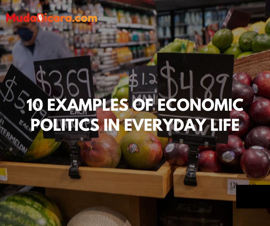 10 Examples of Economic Politics in Everyday Life