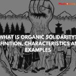 What Is Organic Solidarity? Definition, Characteristics and Examples