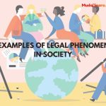 4 Examples of Legal Phenomena in Society