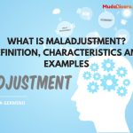 What is Maladjustment? Definition, Characteristics and Examples