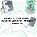 What is a Letter Number? Definition, Function and How to Make It