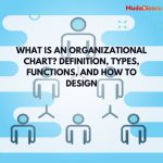 What is an Organizational Chart? Definition, Types, Functions, and How to Design