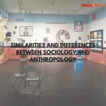 Similarities and differences between Sociology and Anthropology