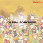 Cultural Environment