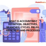 What is Accounting? Definition, Objectives, Branches, Cycles, Fields, Principles and Processes