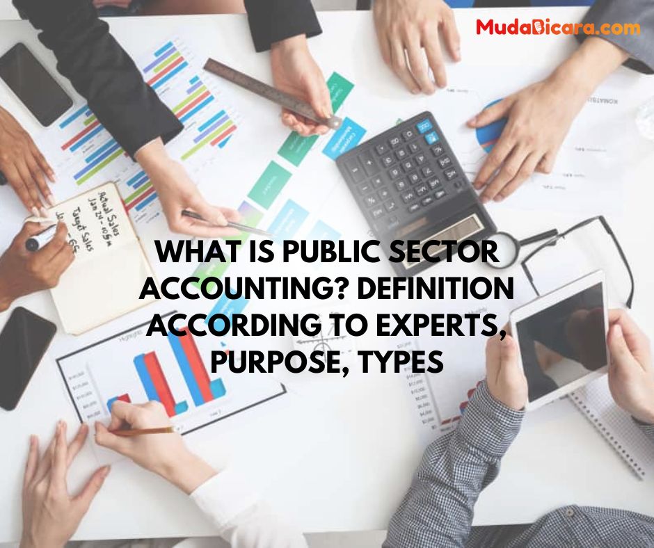 what-is-public-sector-accounting-definition-according-to-experts