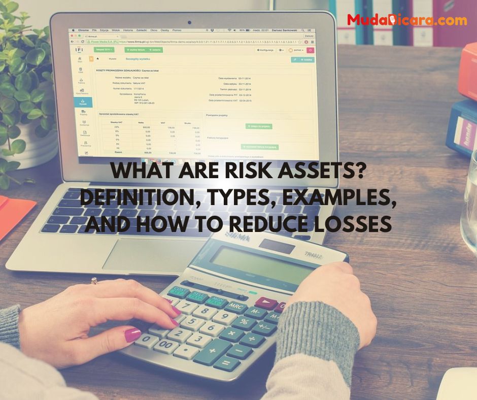 What are Risk Assets? Definition, Types, Examples, and How to Reduce Losses