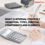 What is Internal Control? Definition, Types, Purpose, Components and Elements